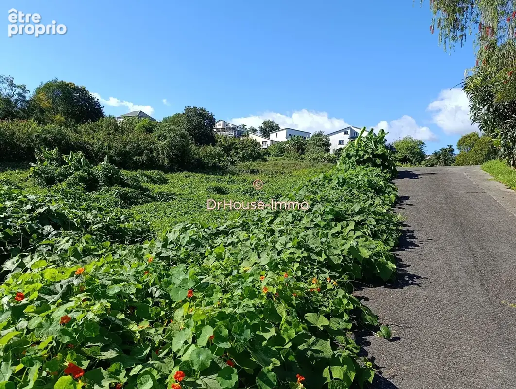 Terrain à LE TAMPON