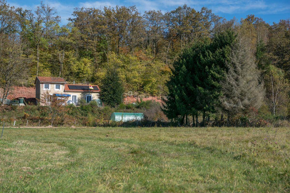 Terrain à CHAMPAGNEY