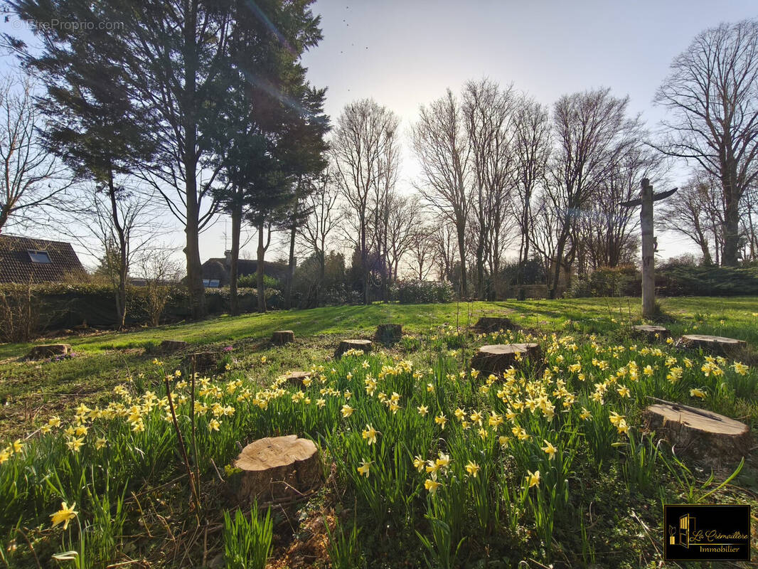 Terrain à VILLECONIN