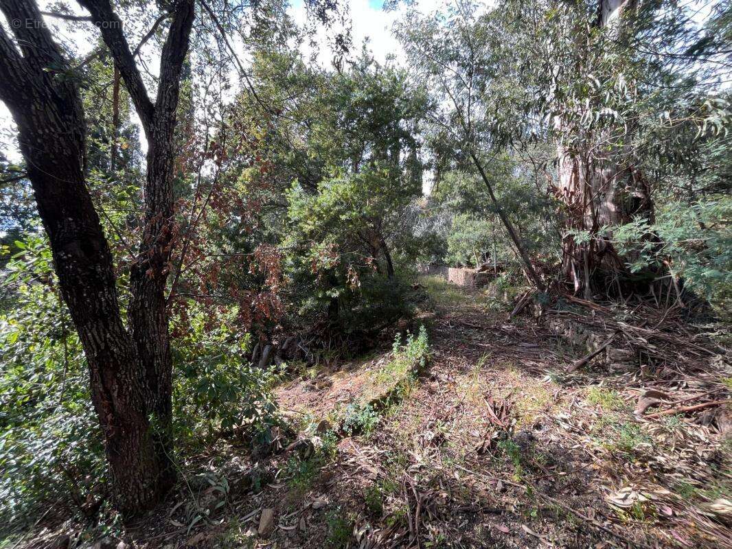 Terrain constructible  cote d 'azur  var les issambres - photo 3