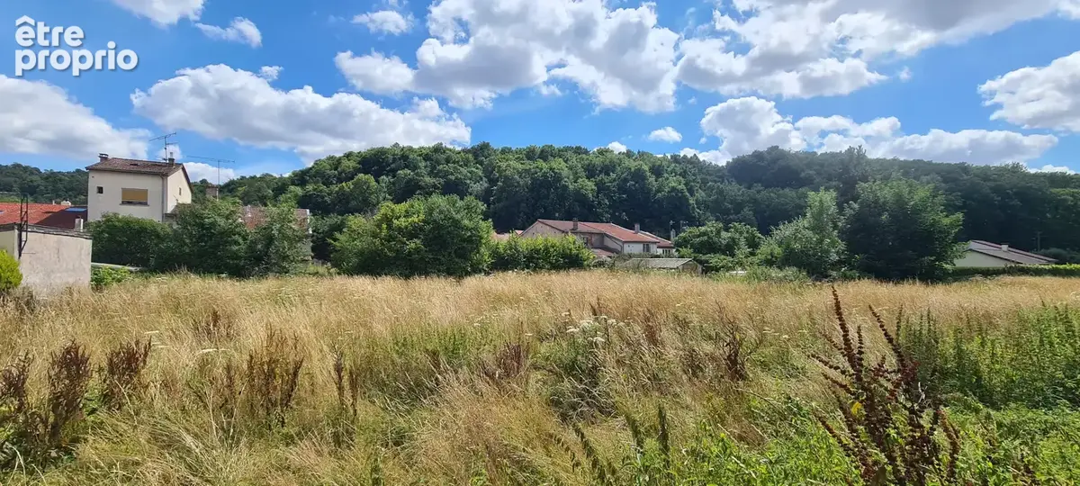 Terrain 594 m² à vendre à Sommedieue (55320) - photo 10