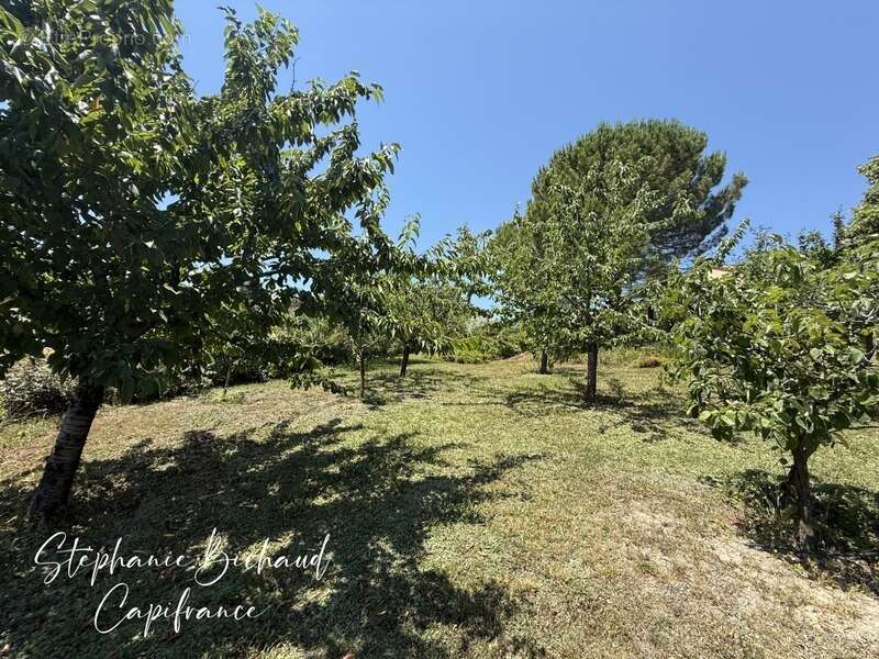 Maison à CHATEAUVIEUX