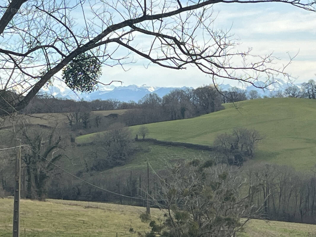 Terrain à ORRIULE