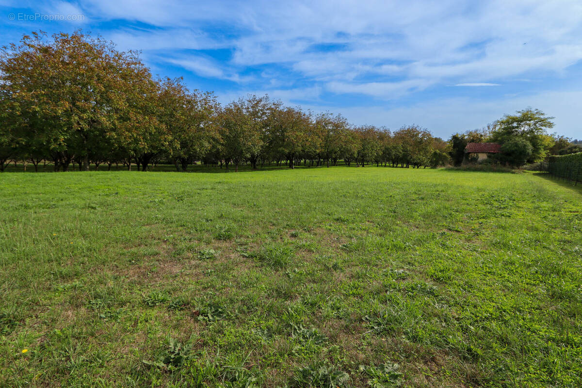 Terrain à SALIGNAC-EYVIGUES