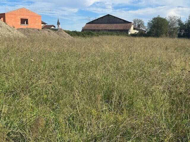 Terrain à SAINT-GEOURS-DE-MAREMNE