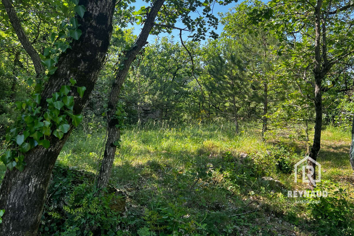 Terrain à SAINT-ETIENNE-DE-GOURGAS