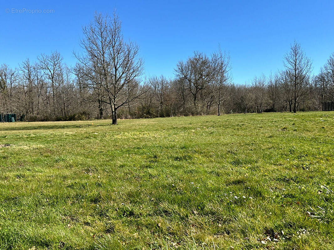 Terrain à SAINT-ETIENNE-DE-TULMONT