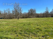 Terrain à SAINT-ETIENNE-DE-TULMONT