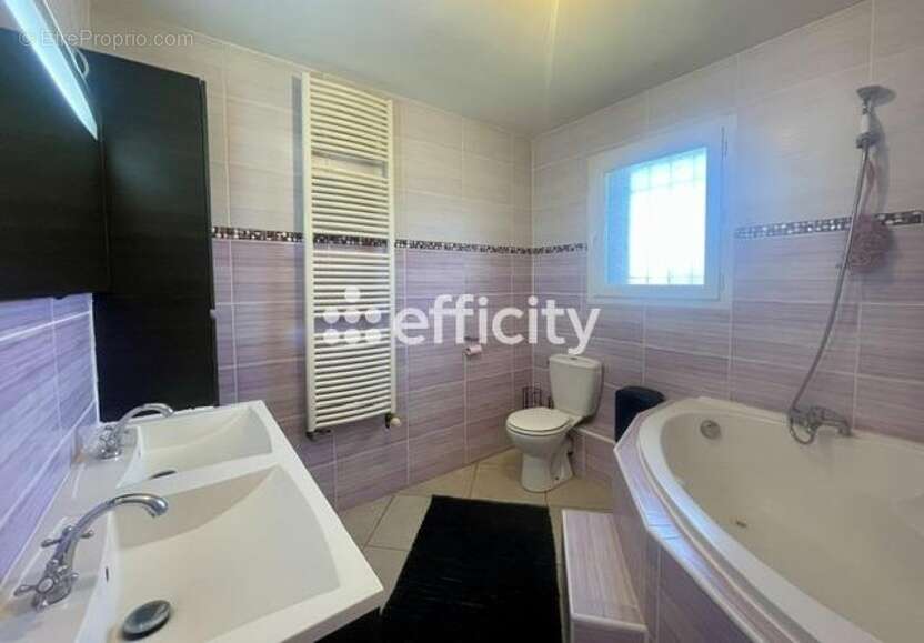 Maison 167 m² à Saint-Maurice-L'exil  - photo 19