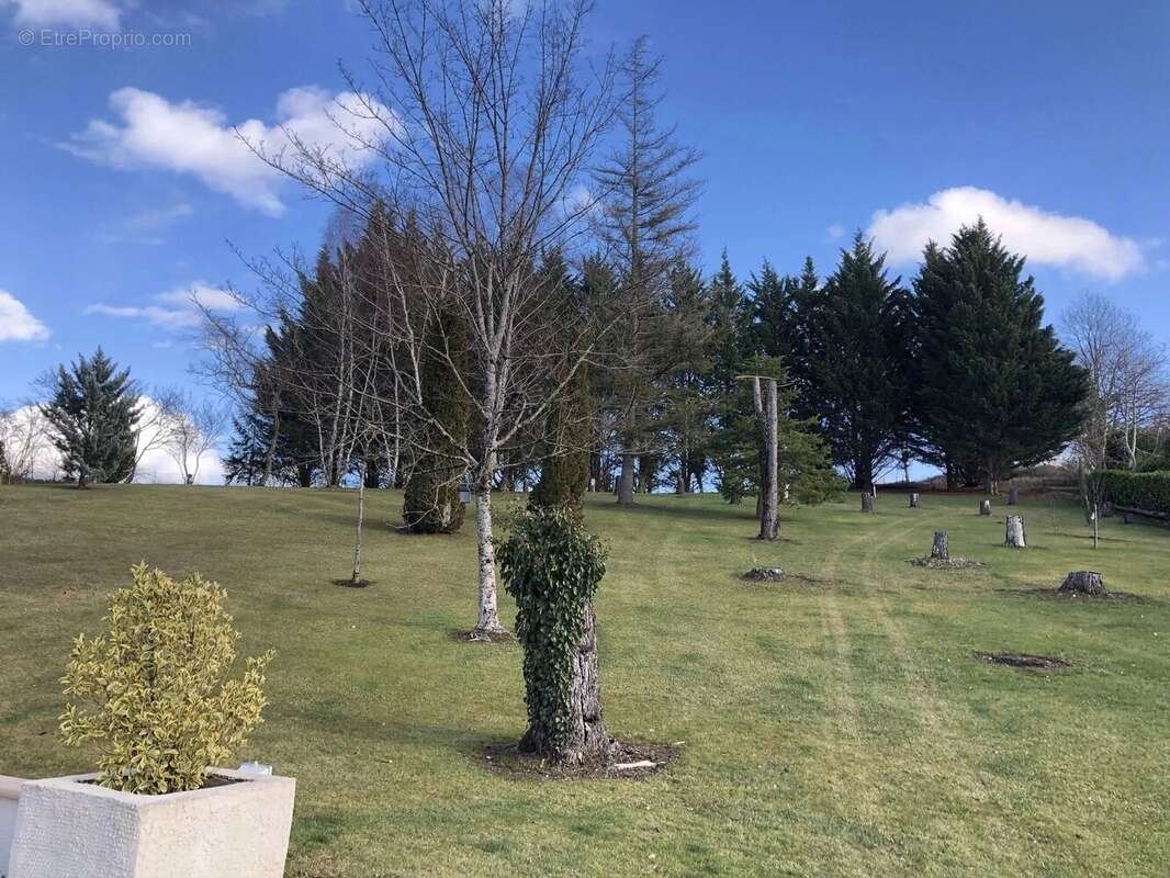 Maison individuelle haut de gamme avec piscine, située au cœur d'un magnifique parc privé - photo 12
