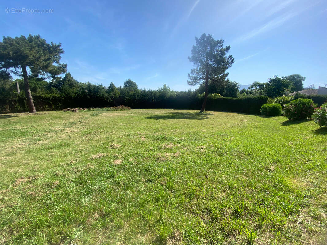 RARE À CÉRET -Fort potentiel-Terrain constructible de 2000 m2 avec certificat d’urbanisme délivré. - photo 2