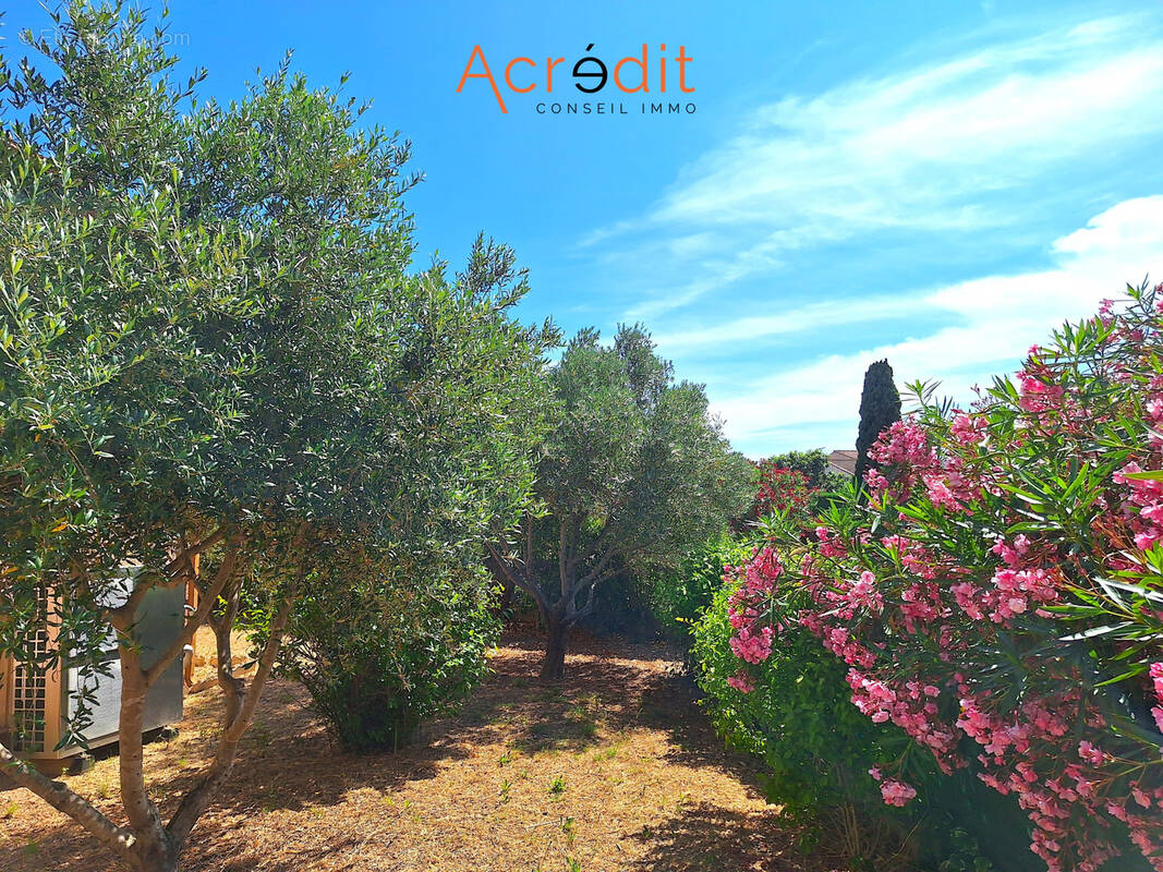 Maison à COLOMBIERS