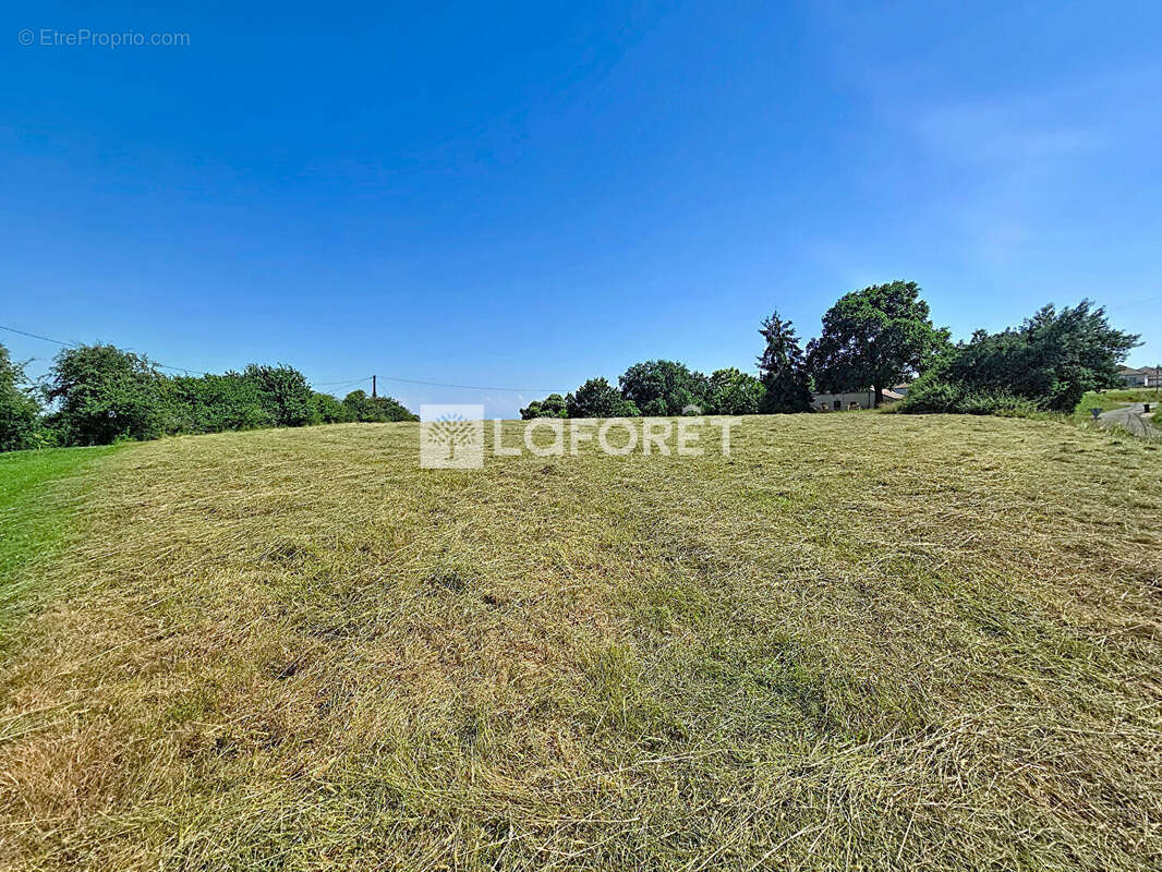 Terrain à ARTHEZ-DE-BEARN