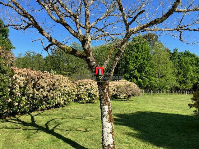 Maison à SAINT-ANDRE-DE-CUBZAC