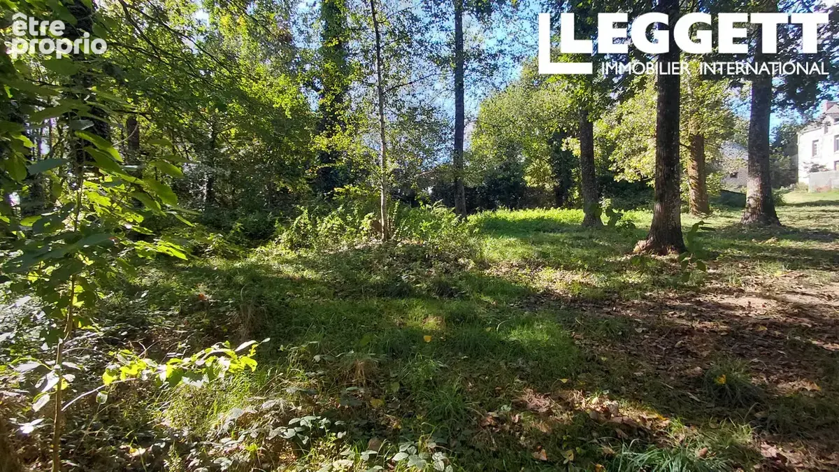 Grande propriété en pierre - Terrain de 9 823 m², nombreuses dépendances et potentiel de gîtes près de Plémet - photo 4
