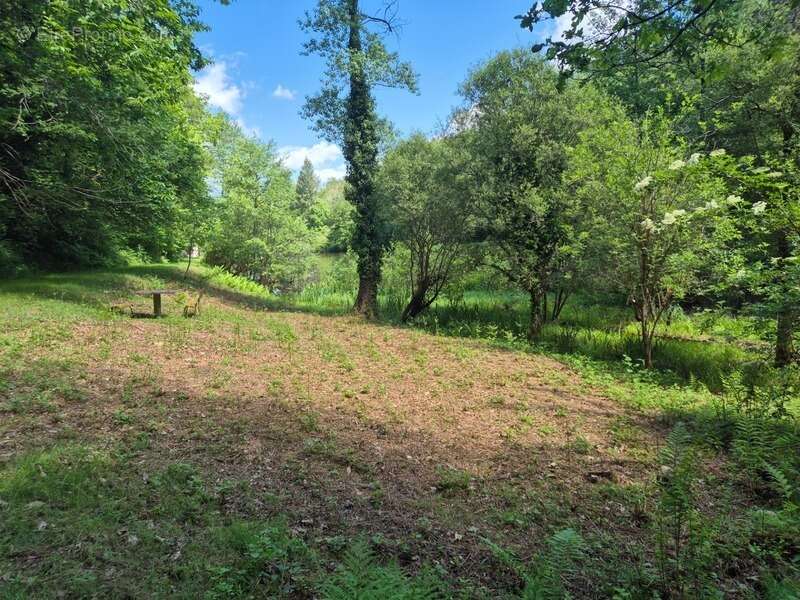 Terrain à PRESSIGNAC