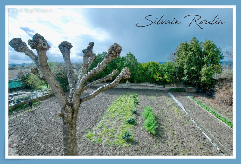 Maison à PIERRELATTE