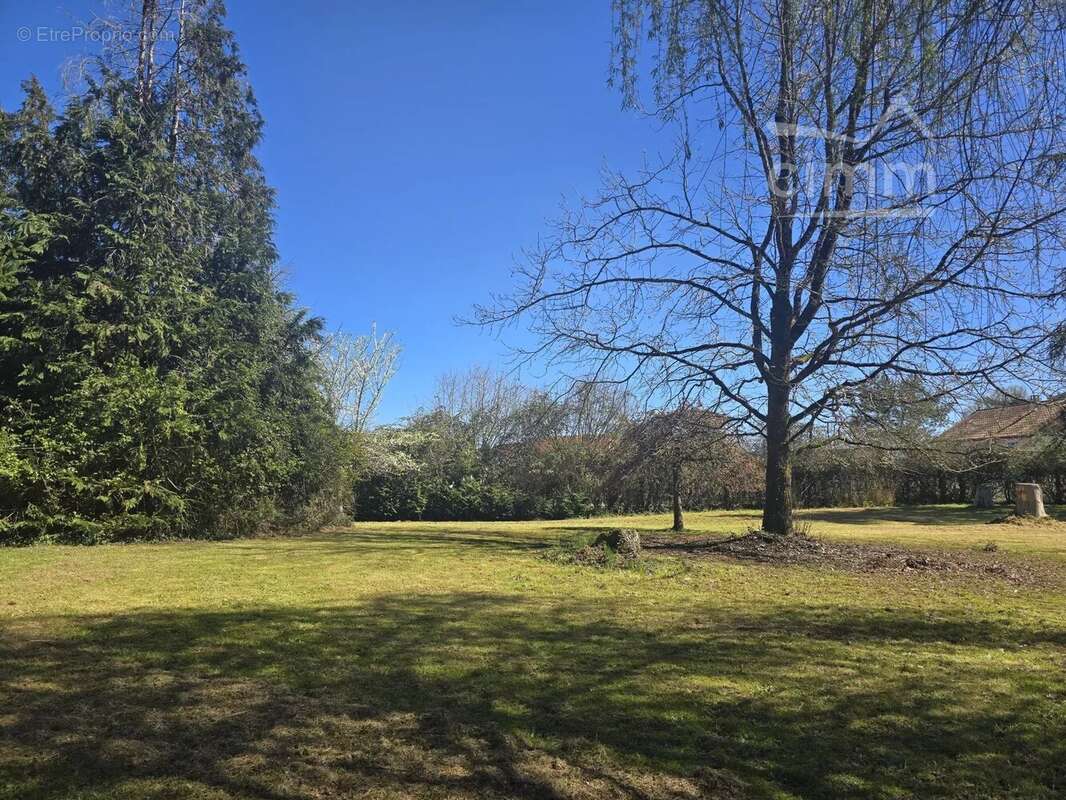 Terrain à SAINT-ELOY-DE-GY