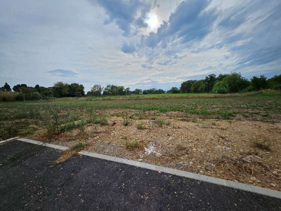 Terrain à SAINT-MARTIN-DE-CRAU