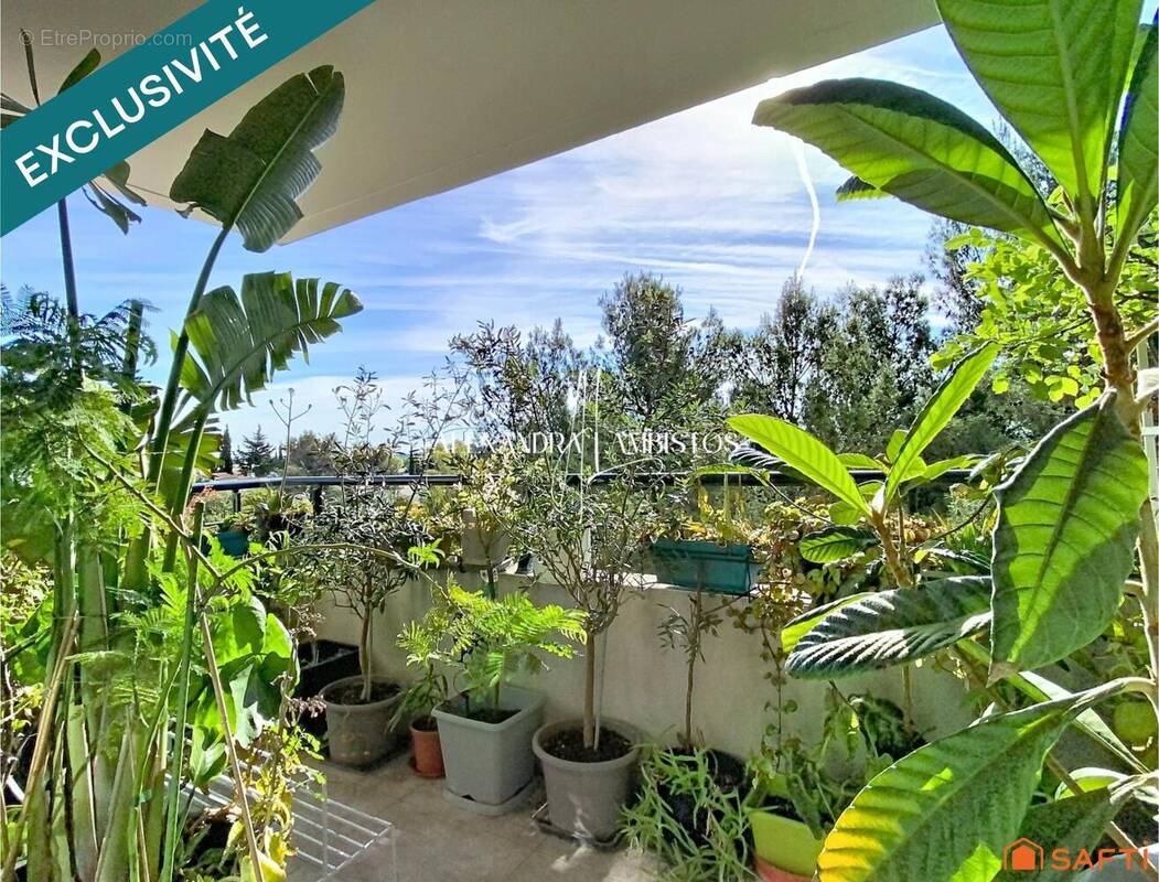 Photo 1 - Appartement à MONTPELLIER