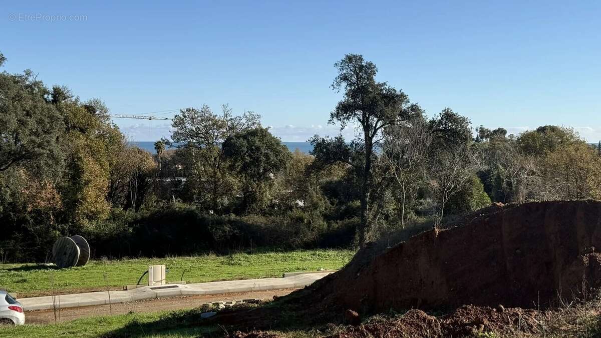 Terrain à POGGIO-MEZZANA