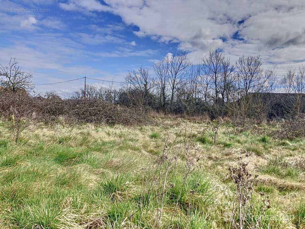 Terrain à AZAY-LE-FERRON