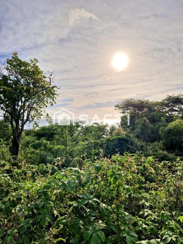 Photo 2 - Terrain à BOUILLANTE