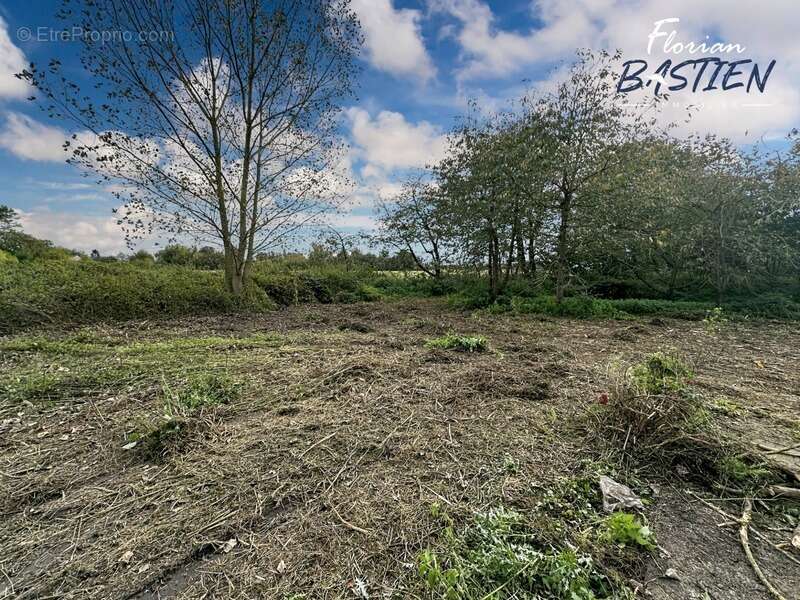 Propriété avec maison plain pied et bâtiment de 750m² sur un terrain de plus de 3 hectares - photo 14