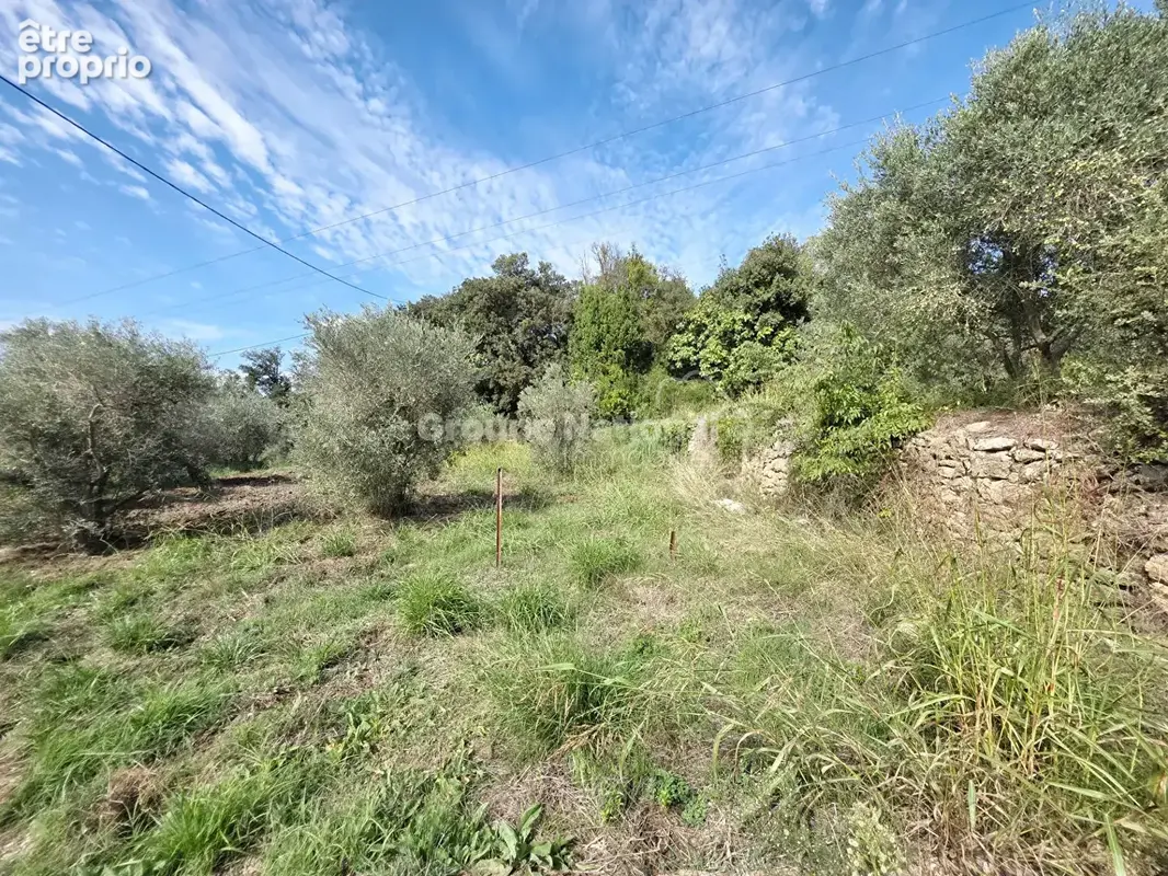 Maison de plain-pied T4 -116 m² -Terrain 3166 m² - Cadre verdoyant et sans vis-à-vis - photo 12