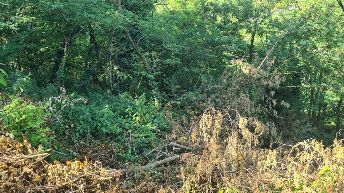 Terrain à SAINT-ETIENNE