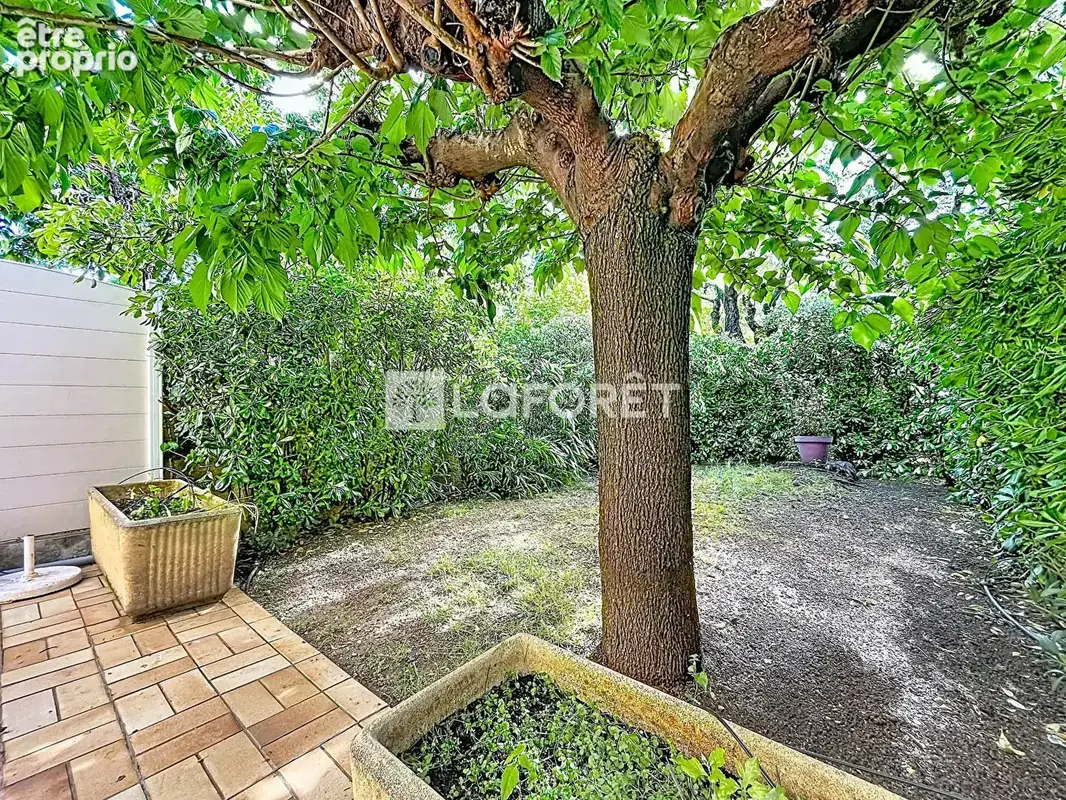 Appartement 3 pièces avec grand jardin privatif sans vis-à-vis - Montpellier - photo 7
