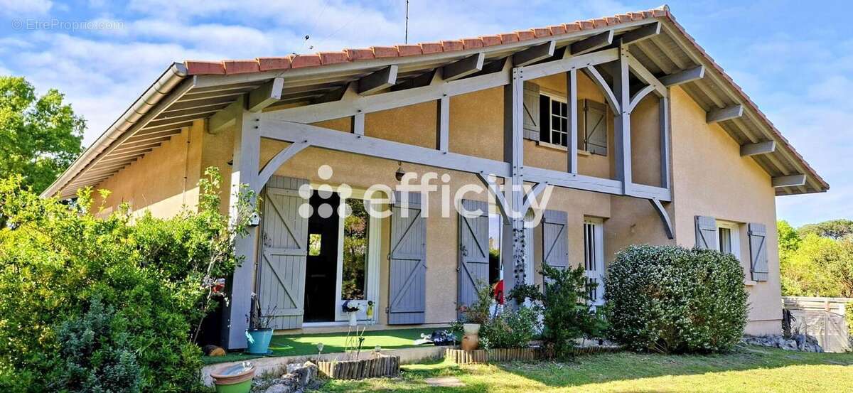 Maison à LEON