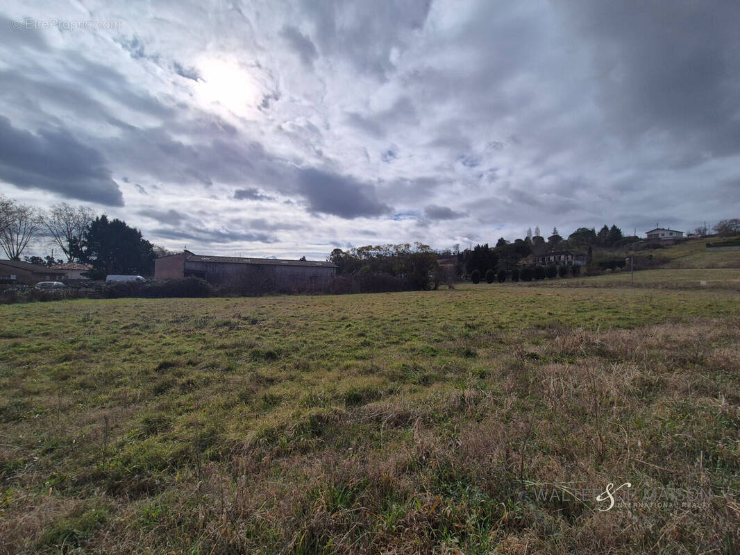 Terrain à RABASTENS