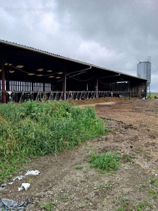 Maison à SAINT-LAURENT-SUR-GORRE