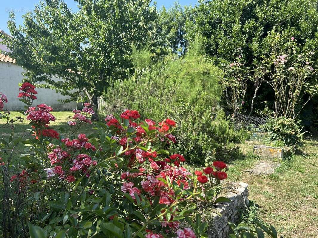 IMG0904 - Maison à NIORT