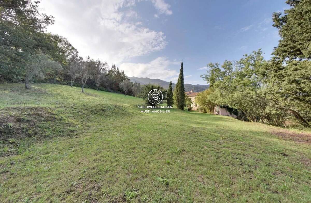 MAS de 295m2 Céret  vue Canigou sur près de 4 Ha - photo 4