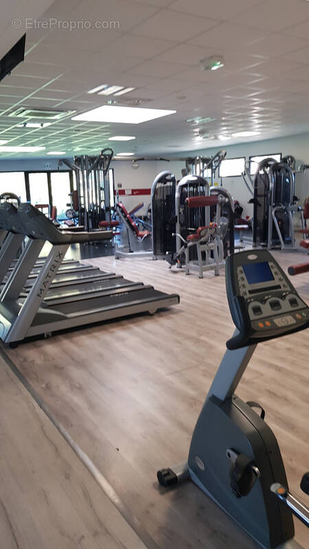 Commerce à SABLE-SUR-SARTHE