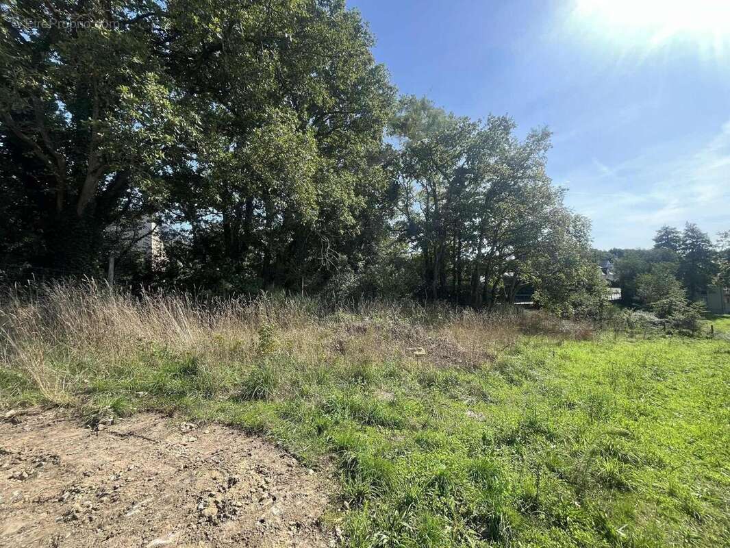 Photo 2 - Terrain à CARQUEFOU