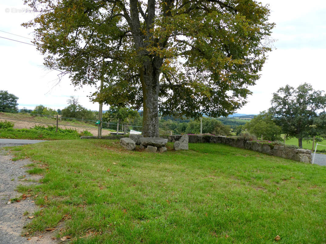 Maison à SAINT-LAURENT-DE-CHAMOUSSET