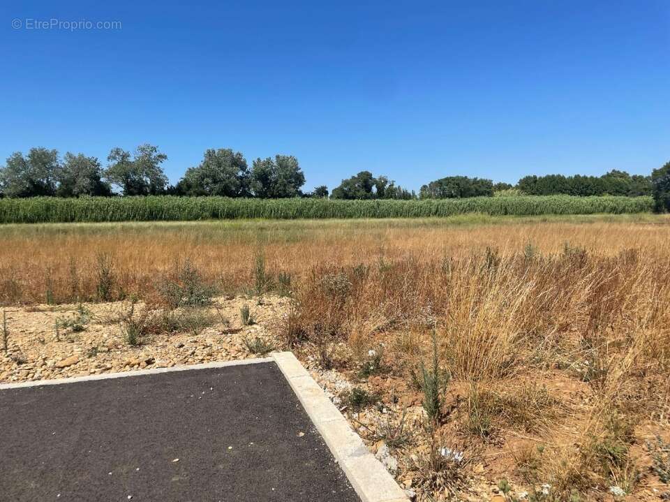 Terrain à SAINT-MARTIN-DE-CRAU