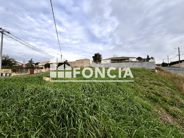 Terrain à CAZOULS-LES-BEZIERS
