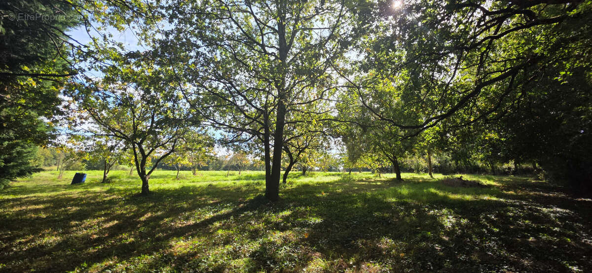 Maison à LE GIROUARD