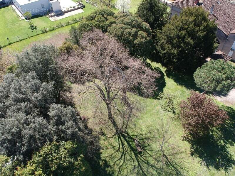 Maison de maitre avec  dependances deux pigeonniers sur parc de 5000m² - photo 82