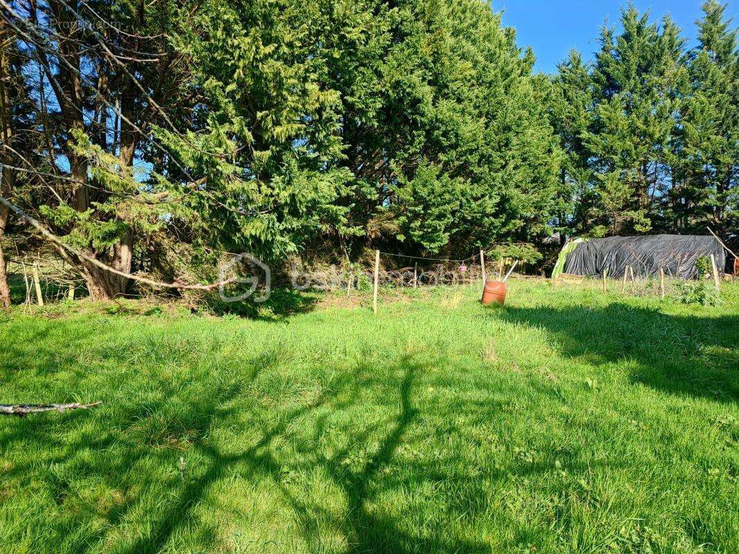 Maison rénovée avec terrain personnalisable – Jusqu'à 1,18 hectare disponible - photo 10