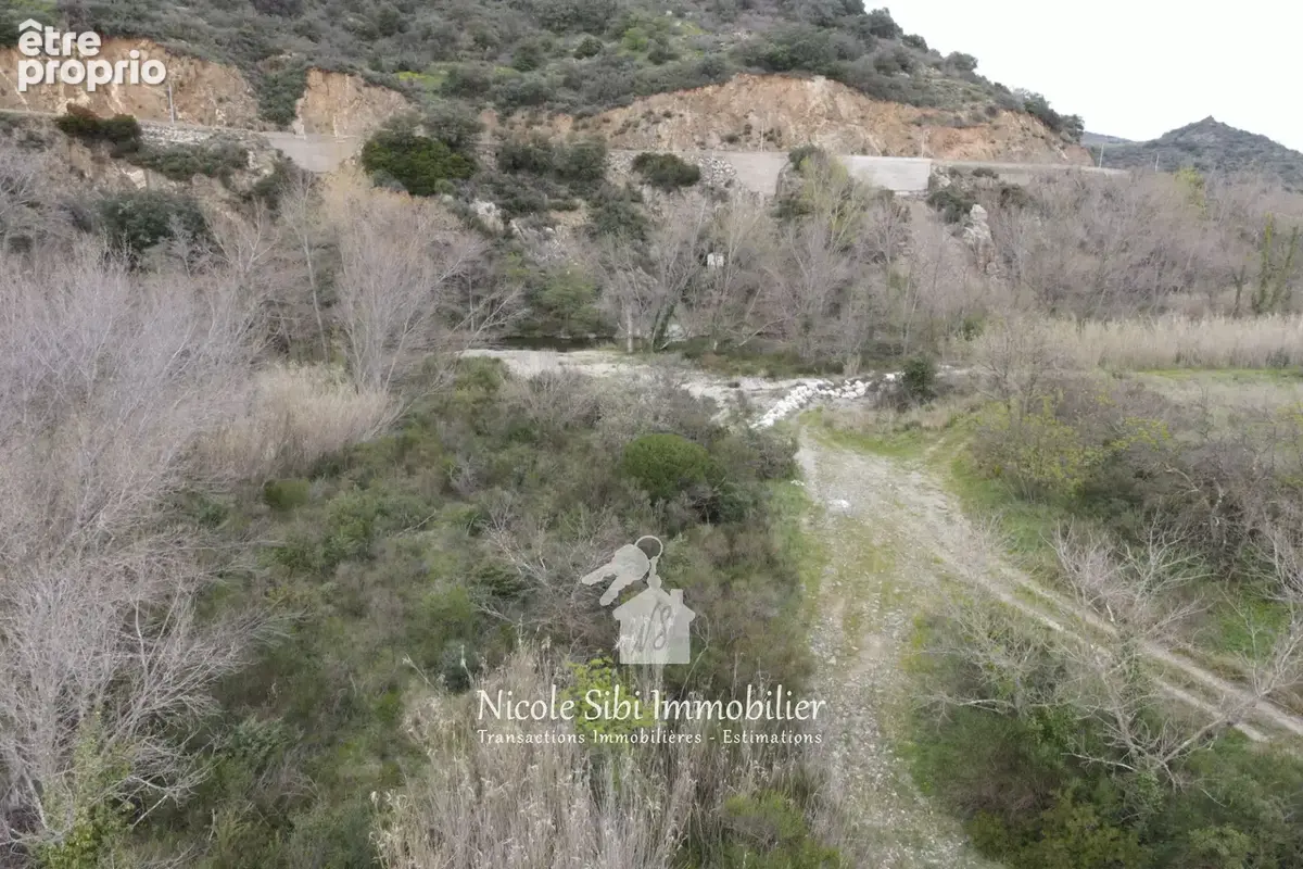 Terrain 6 705 m² à vendre à Rasigueres (66720) - photo 4