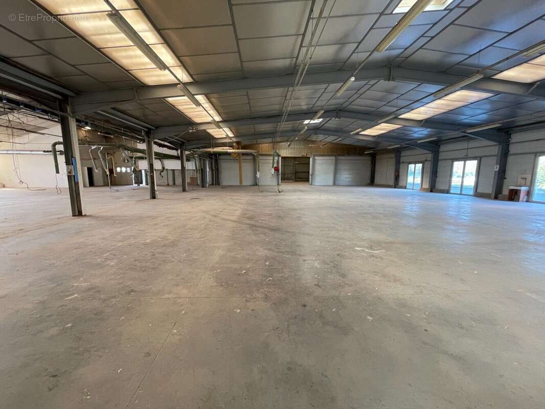 Commerce 3000 m² à Hauterives  - photo 8