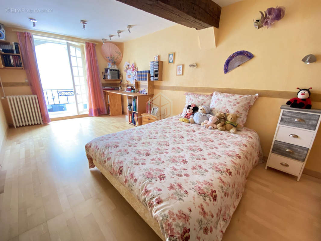 Maison à SAINTE-MAURE-DE-TOURAINE