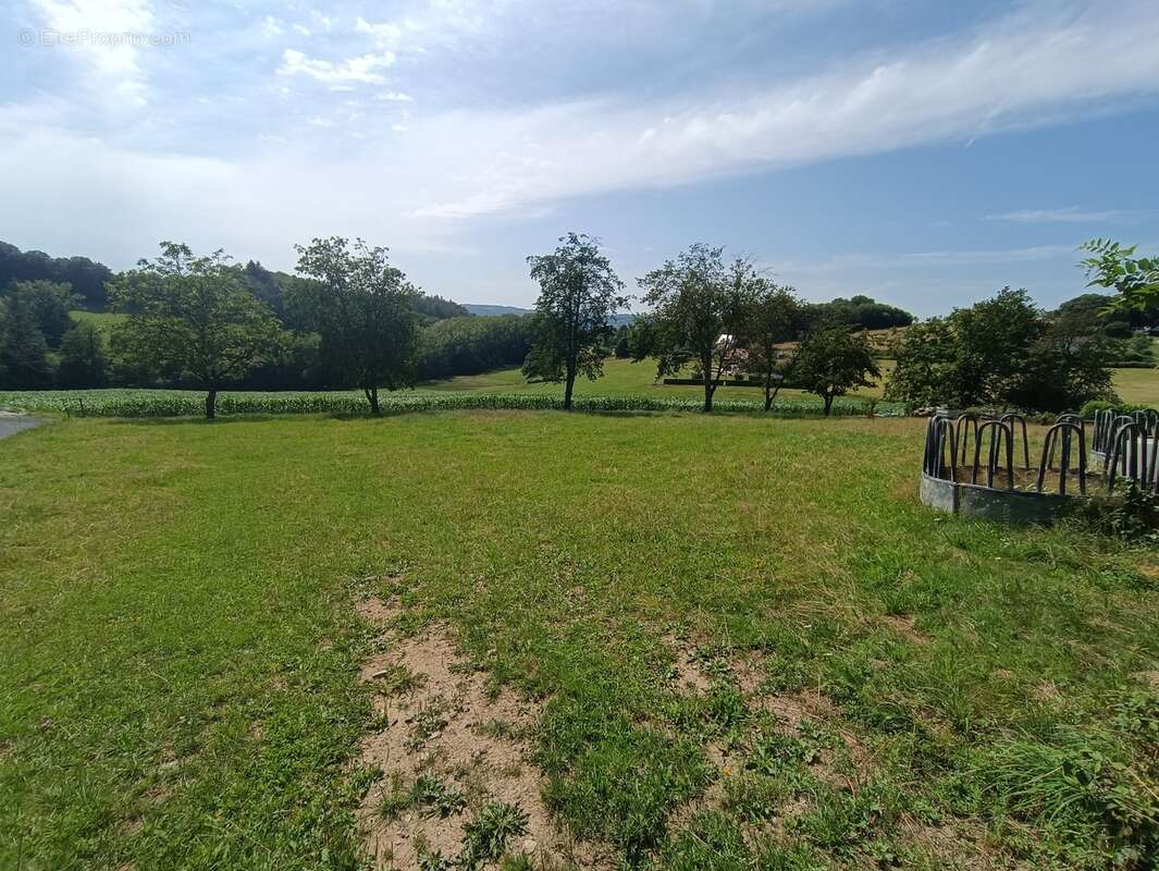 Terrain à SAINTE-FORTUNADE