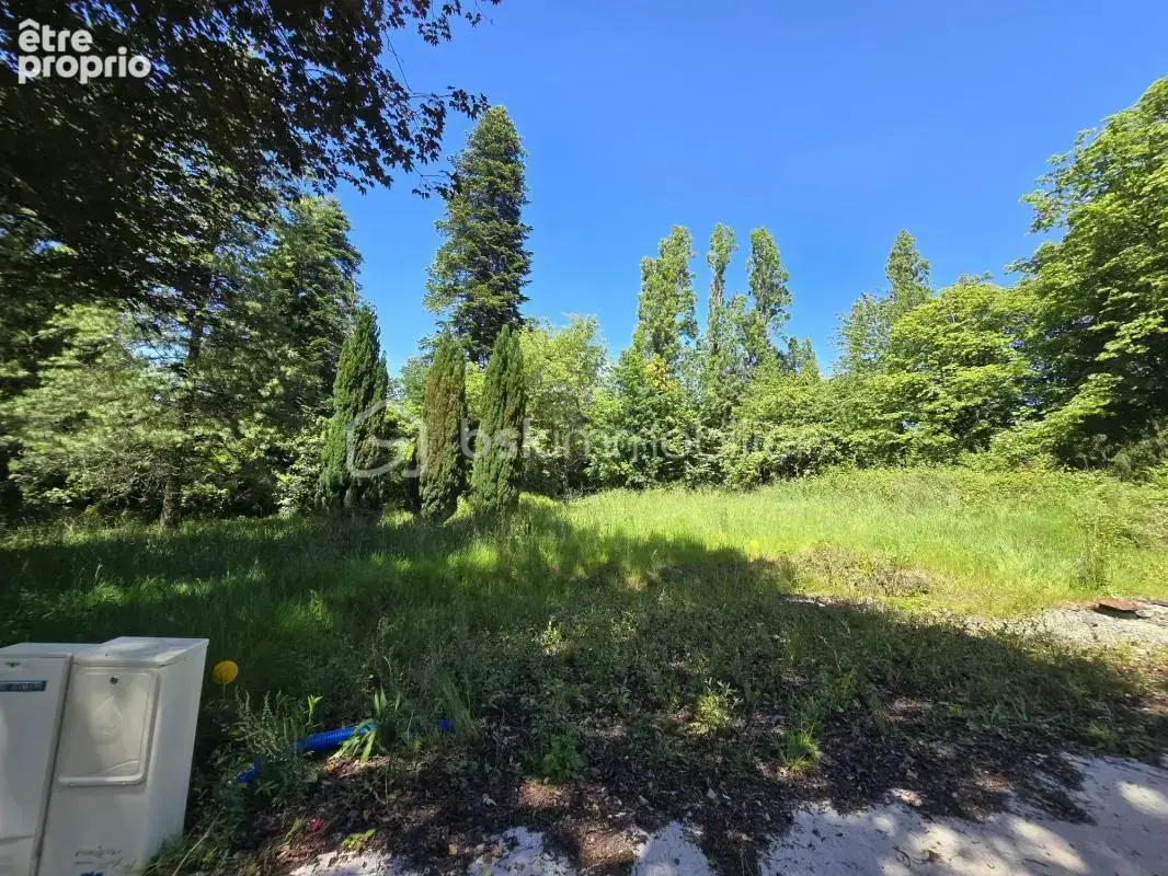 Terrain constructible de 1431m² viabilisé – Libre de constructeur - photo 2