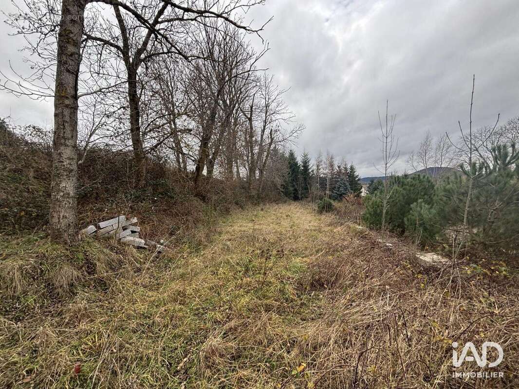 Photo 9 - Maison à YSSINGEAUX